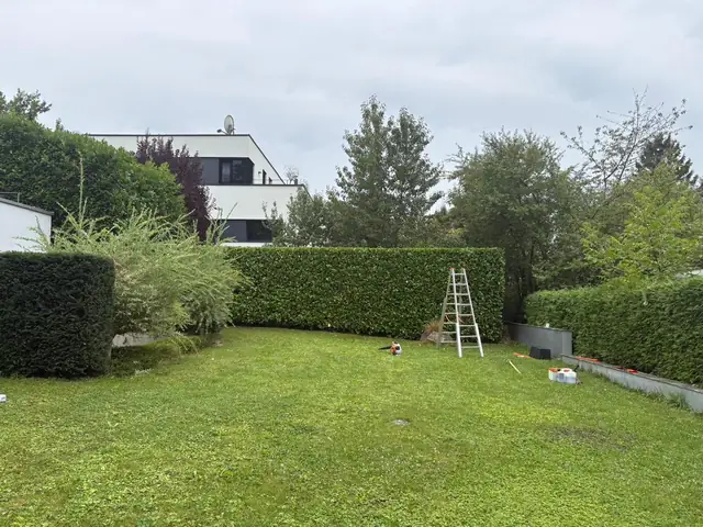 Formschnitt diverser Gehölze