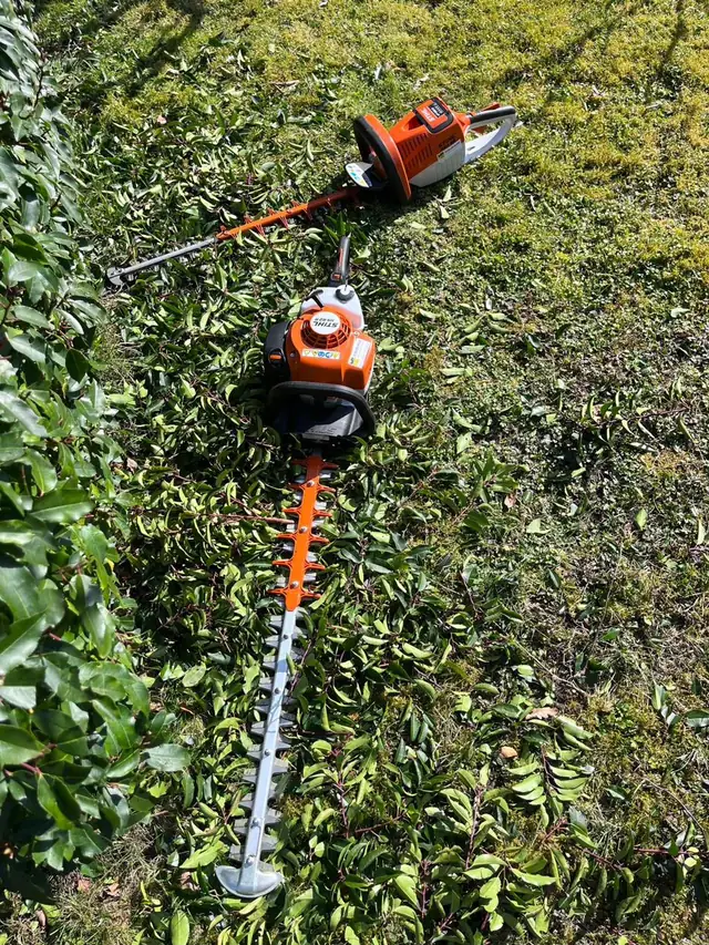 Heckenschere im Einsatz