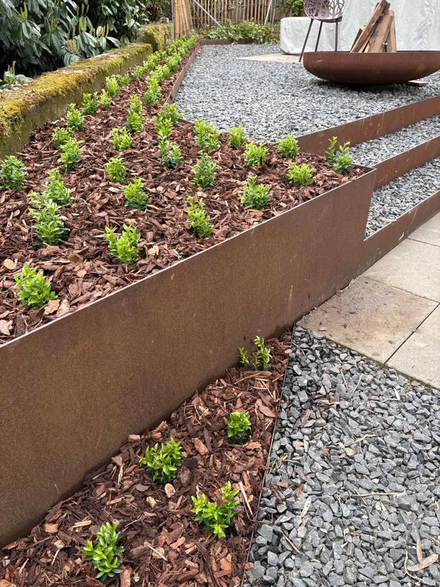 Neu bepflanztes Beet mit Cortenstahl-Einfassung und Rindenmulch